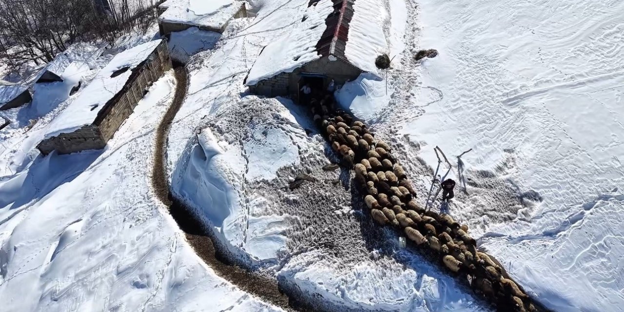 Hakkari’de kar kalınlığı 1,5 metreyi geçti çiftçiler çaresiz