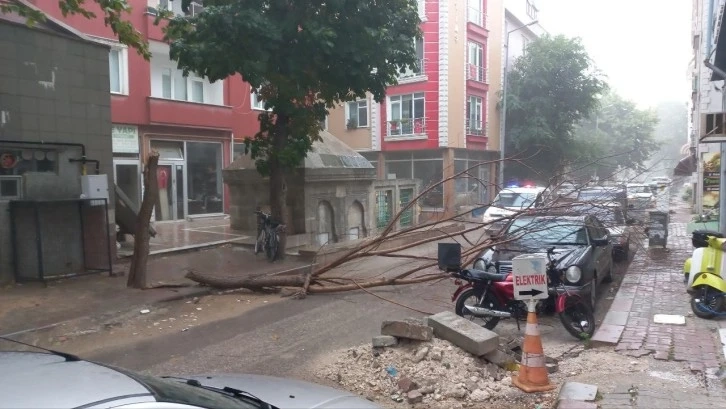 Edirne'de Sağanak yağış yolları göle çevirdi, ağaçları devirdi