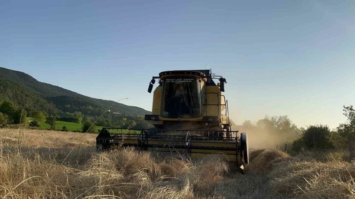 Kastamonu da Buğday hasatt başladı