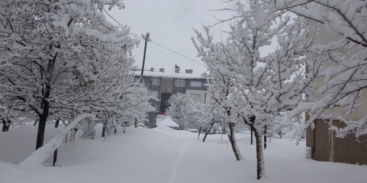 Bitlis'te kar fırtınası yüzlerce köy yolu ulaşıma kapandı