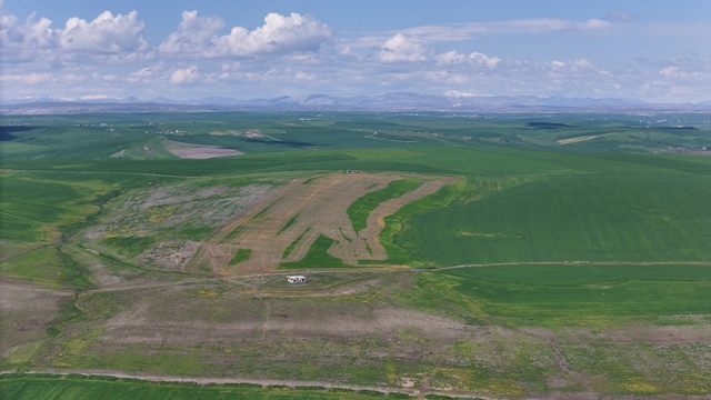 Diyarbakırda 250 dönüm ekili tarlayı zararlı ilaçla kuruttular