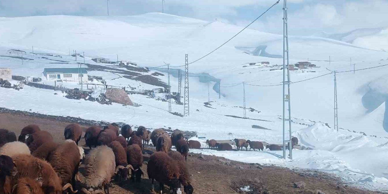Ağrı’da Nisan karında köy yolları kapandı