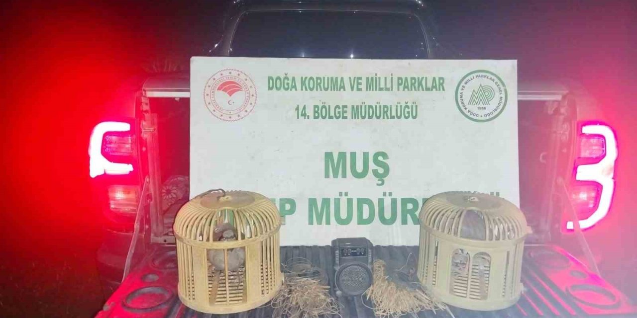 Muş’ta kaçak keklik avına 65 bin TL ceza