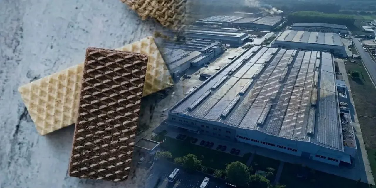 Konkordato talep eden dev fabrika iflas etti