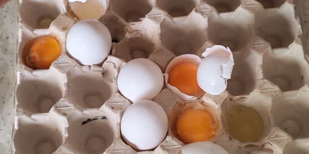Haliliye’de 5 bin koli bozuk yumurta imha edildi