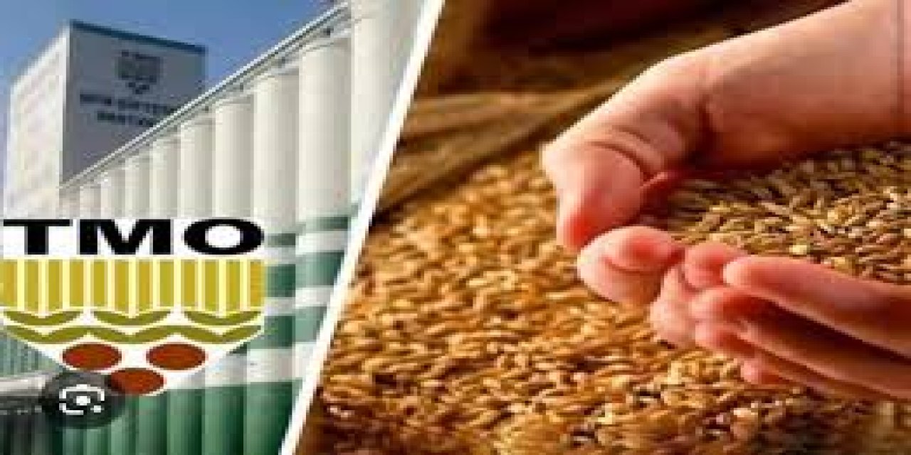 Gaziantep’te TMO deposunda 100 milyonluk buğday kayıp iddiası