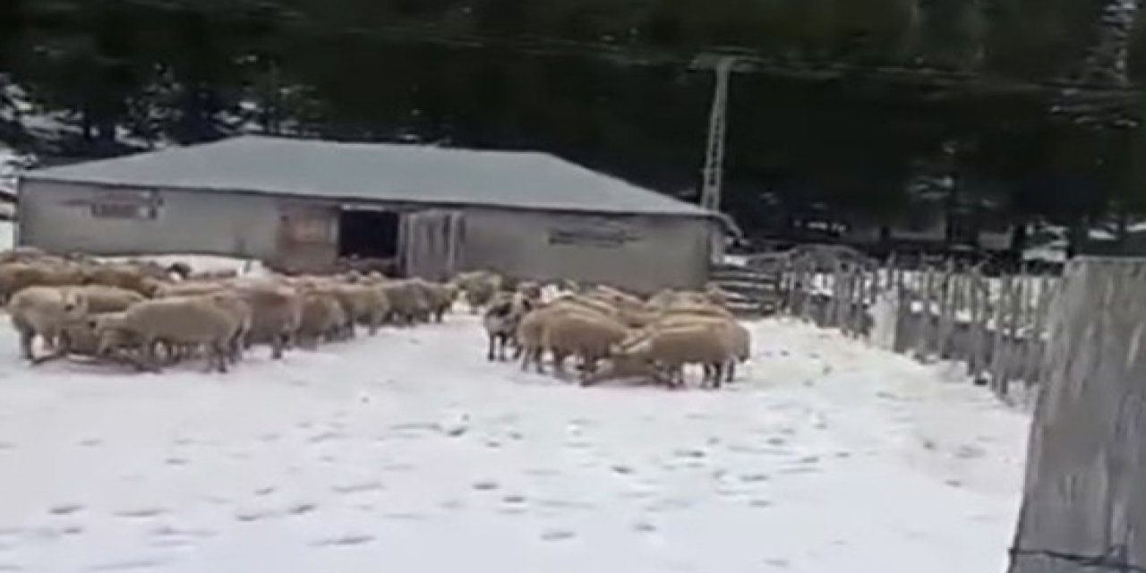 Osmaniye de kar kalınlığı 1 metreye ulaştı