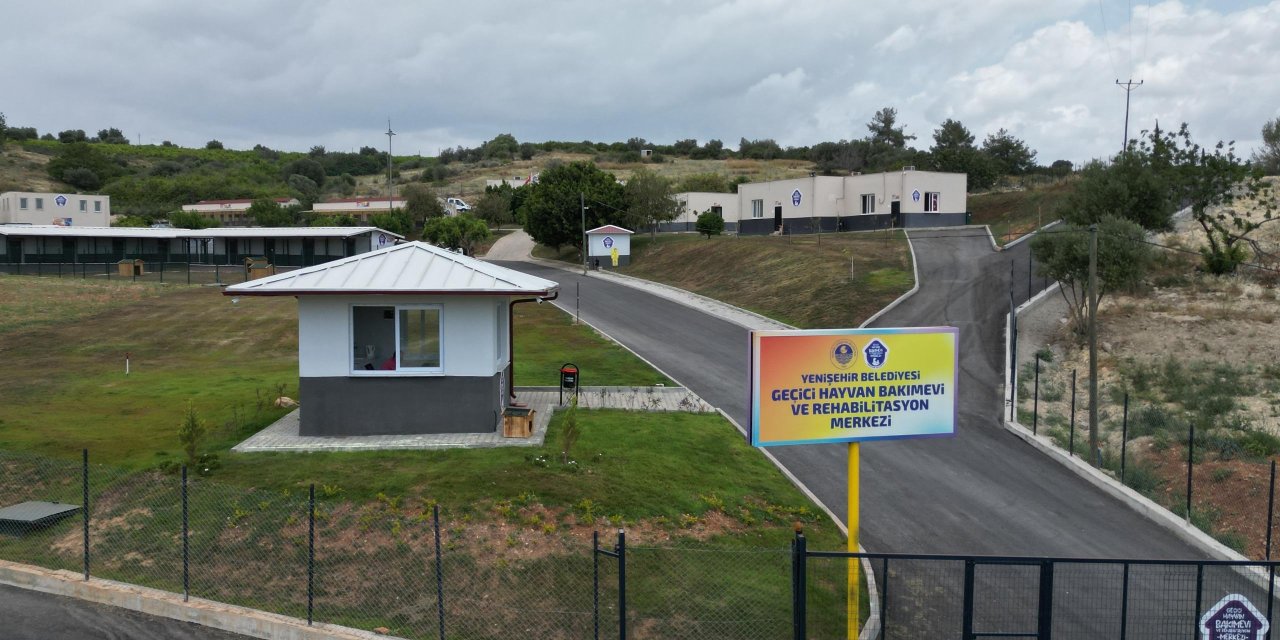 Yenişehir’de patili dostlara 5 yıldızlı hizmet