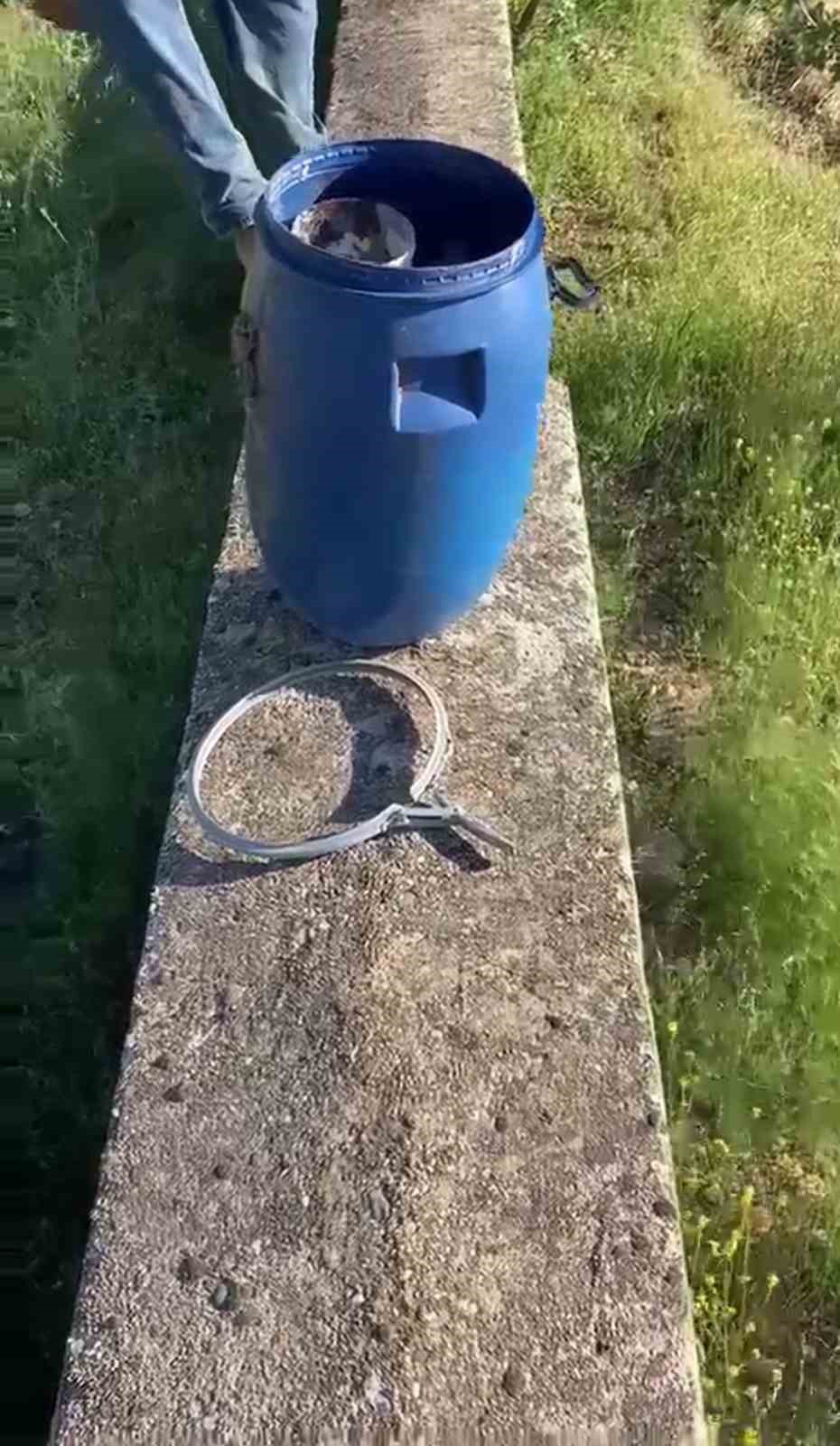 Urfada plastik kutularda 21 cenin bulundu