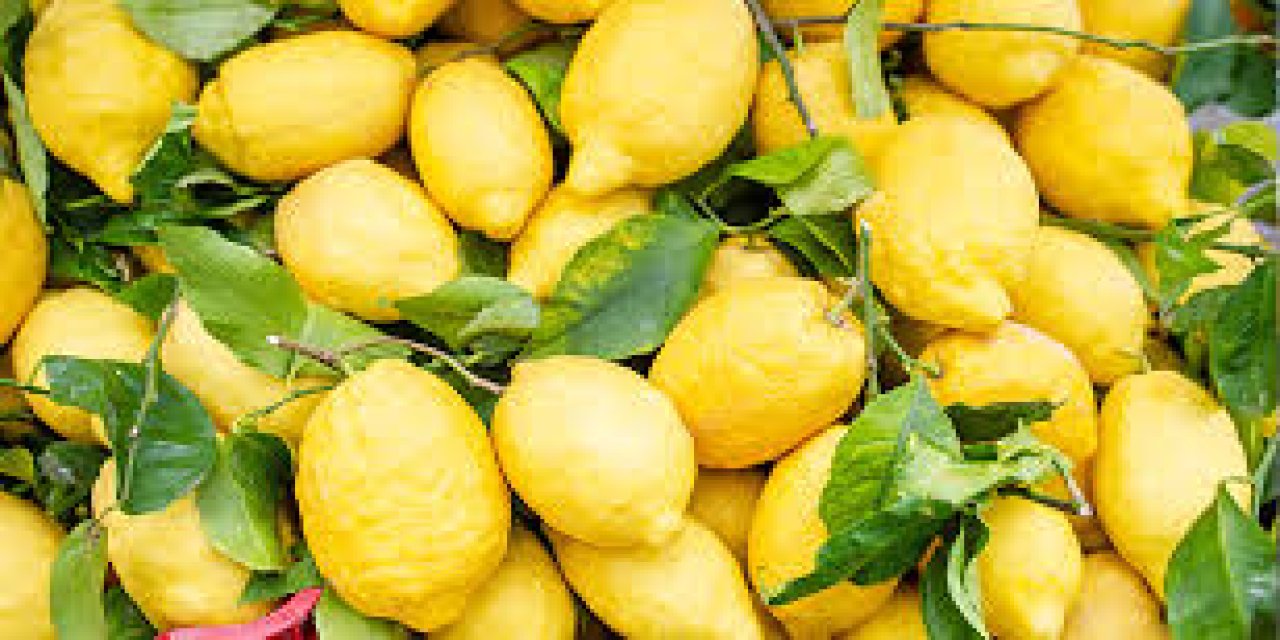Limonu kabuğuyla tüketmenin faydaları neler?
