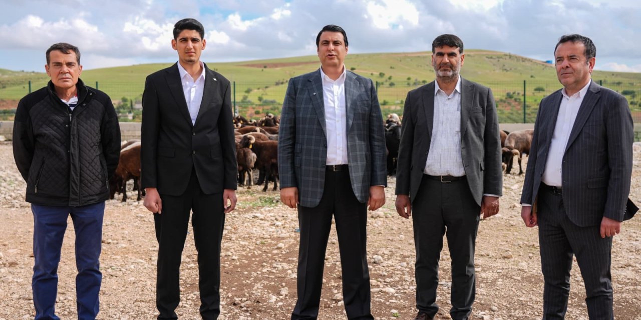 Başkan Yılmaz, Kurbanlık fiyatlarını açıkladı