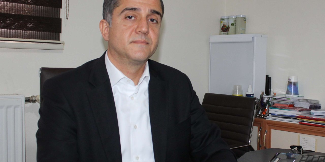 Hamlıktan olgunluğa siyaset ve demokrasi