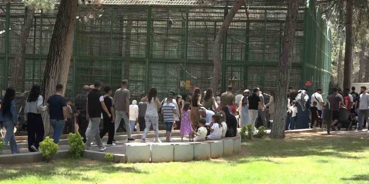 Gaziantep Doğal Yaşam Parkı’nda bayram yoğunluğu