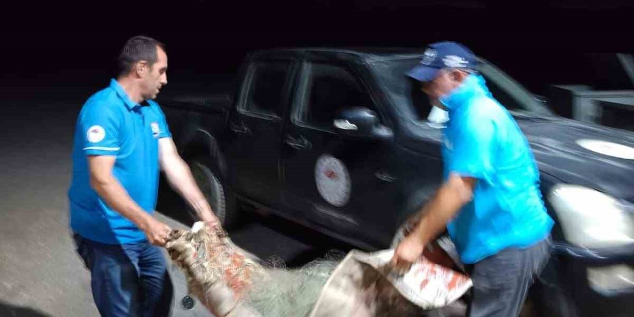 Balık ağlarına el kondu