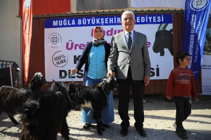 Muğla'da Kıl Keçisi desteği 3 ilçede devam ediyor