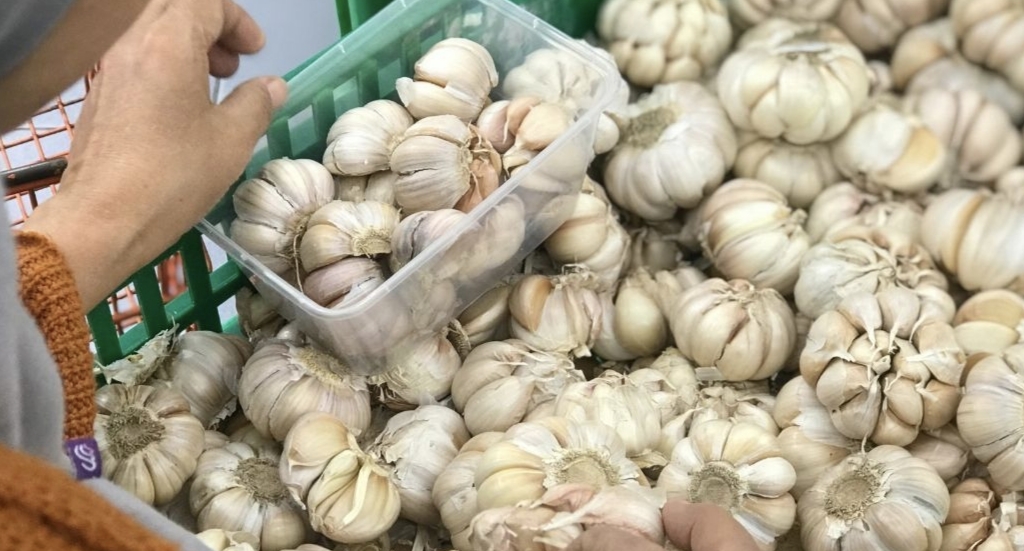 Sarımsakların 6 ay boyunca taze kalma sırları