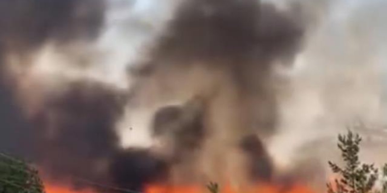 Arazi yangını: 1'i ağır 3 yaralı, 200 dönüm ekili alan küle döndü