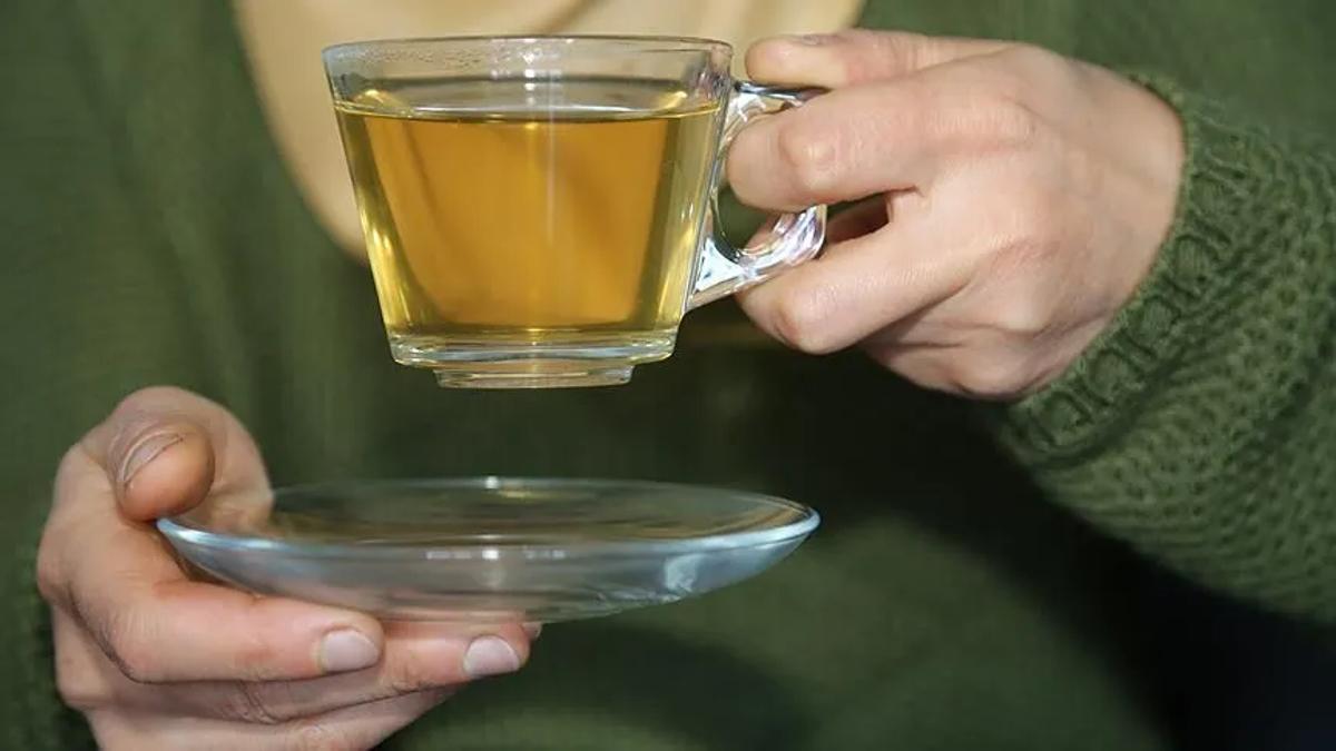 Tıbbi Bitki Çayları Yönetmeliği yayımlandı