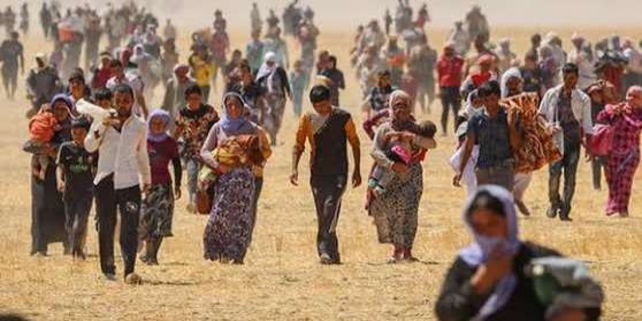 Irak’ta Ezidi parlamenter: Yolsuzluk operasyonu Şengal'i de kapsamalı