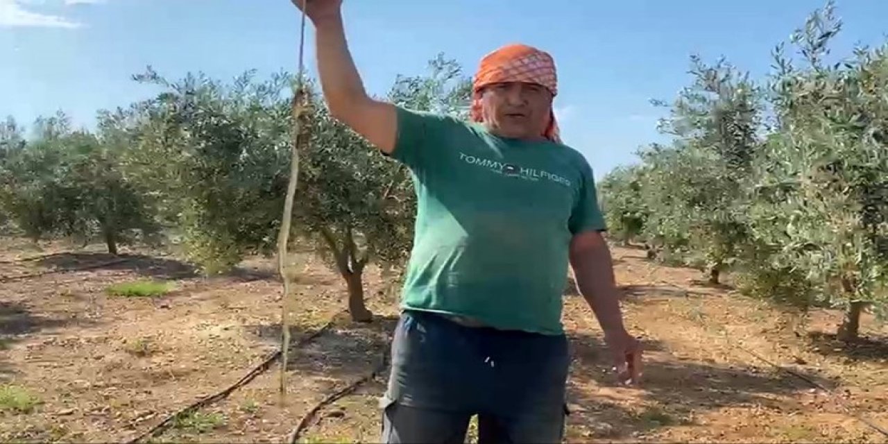Yılanı öldürdüm' diyene 22 Bin TL ecza