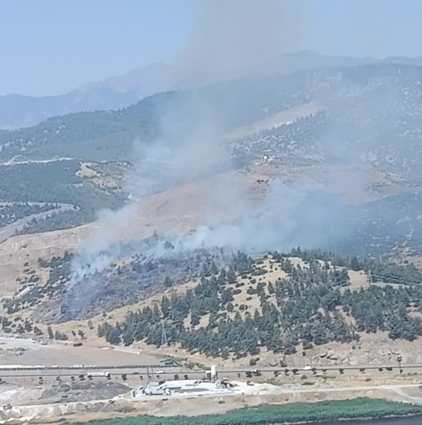 Alevler Ormanı Sardı! Kahramanmaraş’ta Yangın Alarmı: İşte Bölgedeki Son Durum