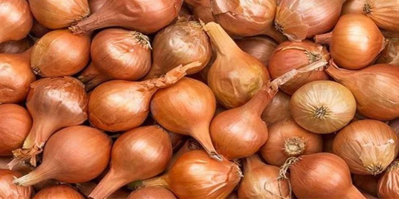 Kuru soğanda gümrük vergisi yeniden düzenlendi
