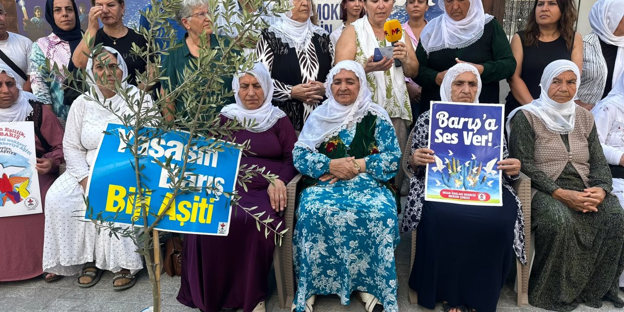 Mersin İHD: Süreçte kalıcı barış için hukuki reformlar şart