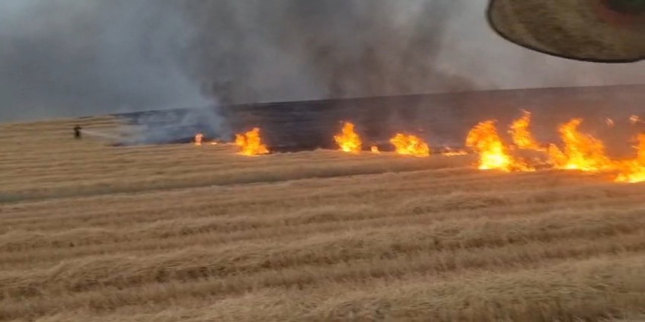 Silvan ilçesinde 5 bin dönüm arazi alevlere teslim oldu