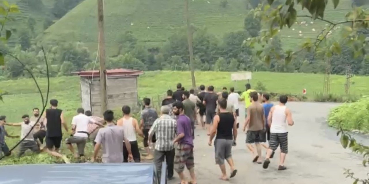 Mevsimlik çay işçileri arasında sıra kavgası