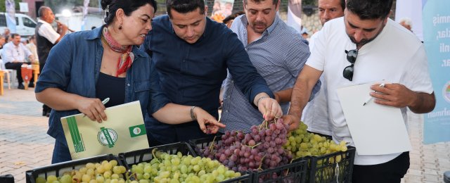 Toroslar'da 3.üzüm hasadı etkinliği gerçekleşti
