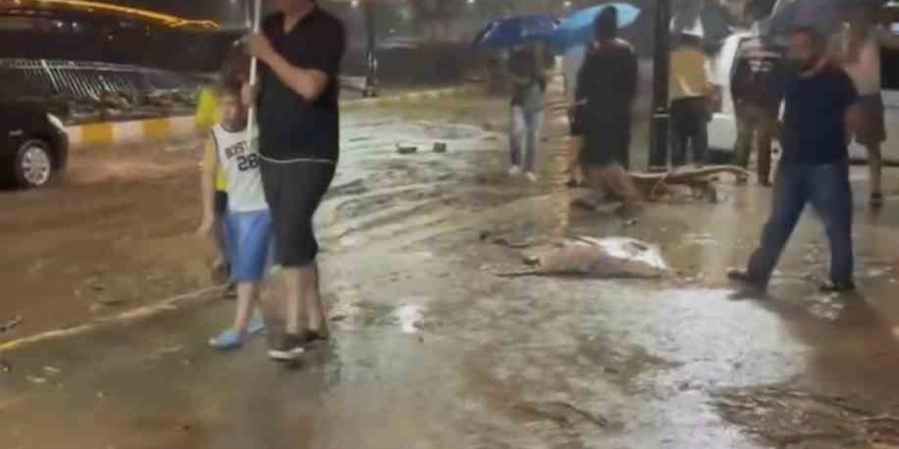 Giresun’da şiddetli yağışta derelerin su seviyesi yükseldi
