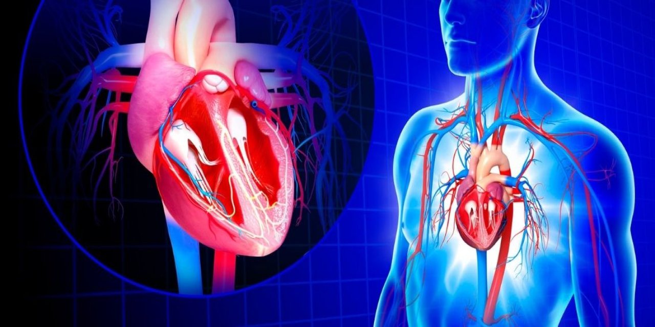 Nefes darlığı, kalp ve akciğer hastalıklarını belirtisi olabilir