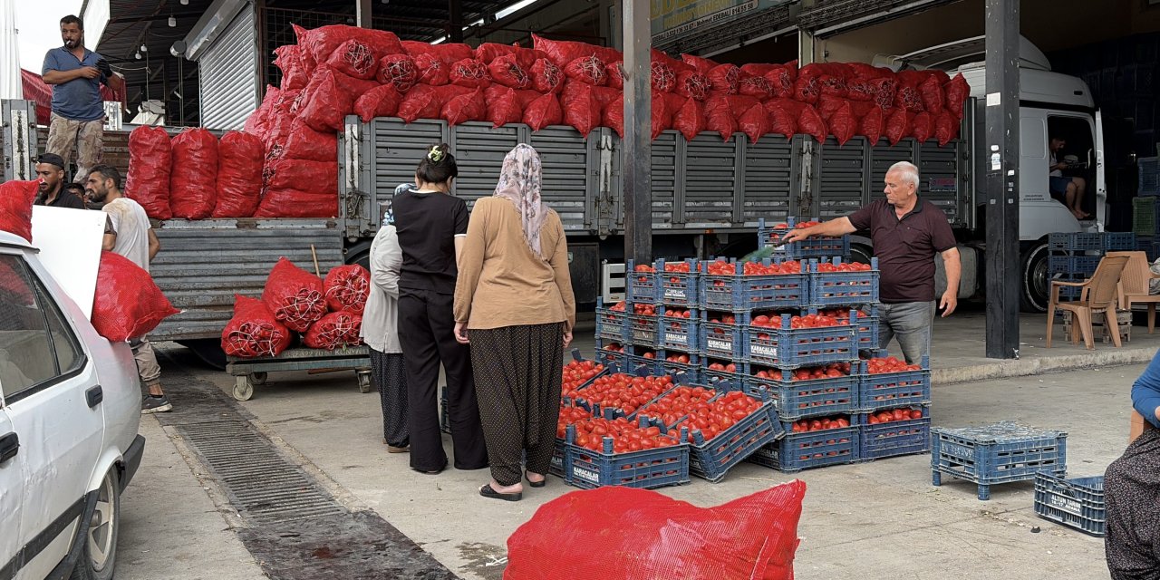 Osmaniye’de salça ve konserve mesaisi başladı