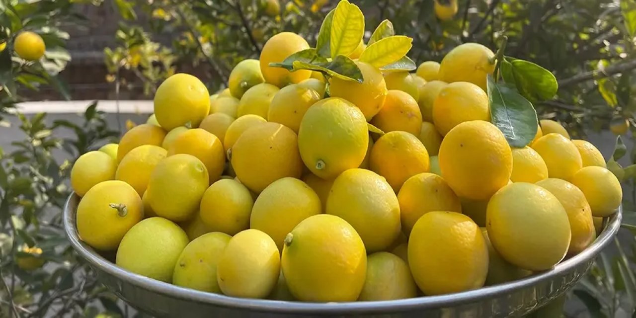Limonu kabuğu ile tüketmenin faydaları