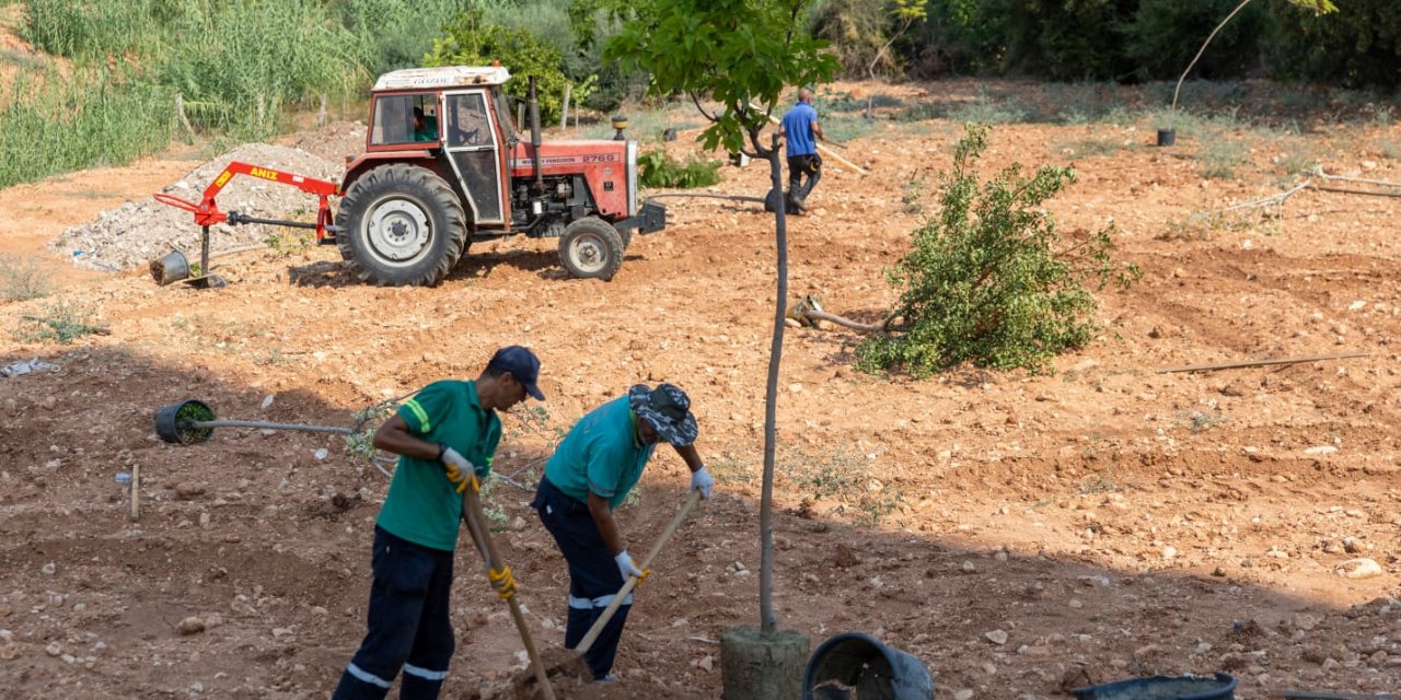 Yenişehir’de sıcaklığı düşürecek yeşil dönüşüm
