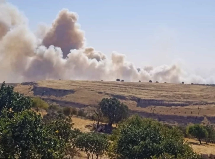 Mardin’de iki farklı noktada çıkan örtü yangını kontrol altına alındı