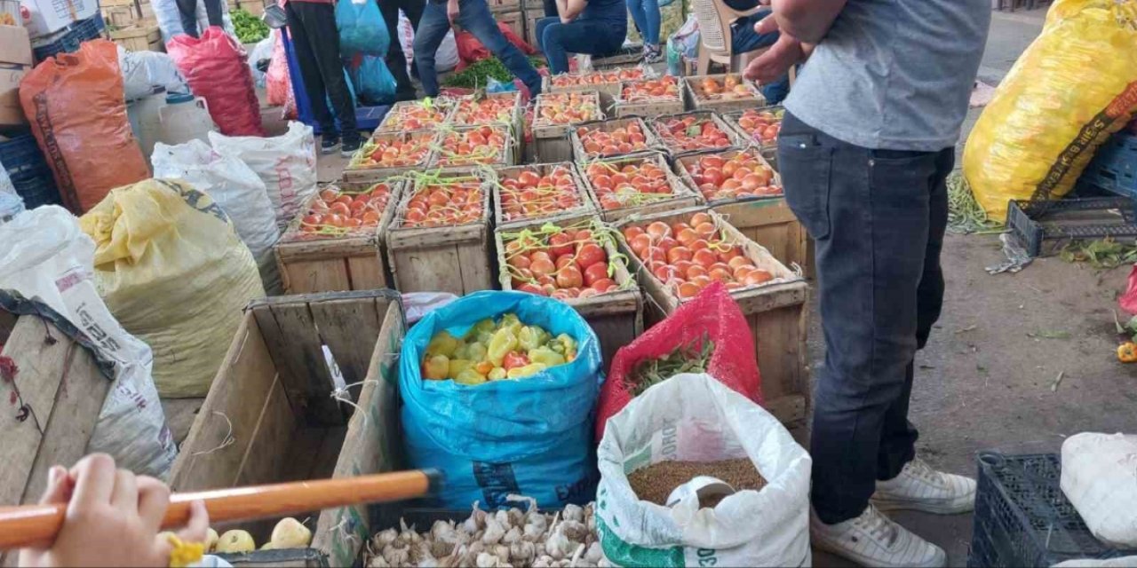 Çüngüş’te organik domates hasadı başladı