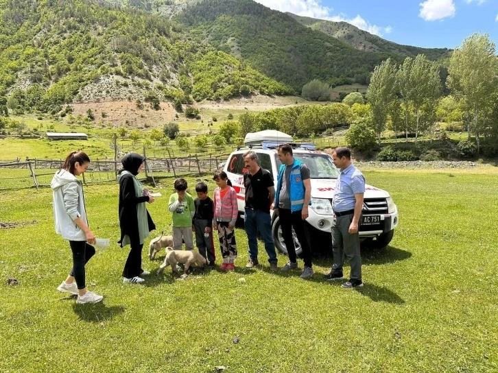 Doğada bulunurken kene popülâsyonuna dikkat!