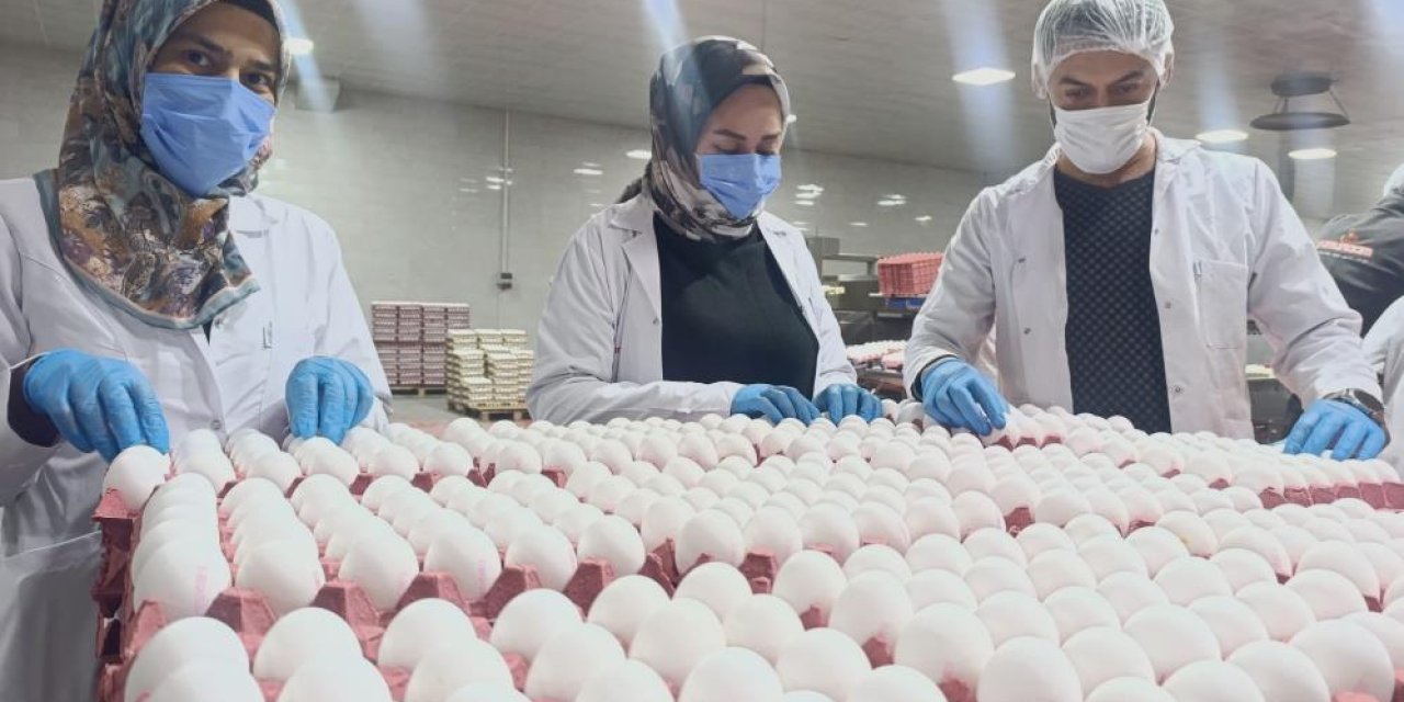 Yumurta üreticilerinin gözü Tahıl Koridoru'nda