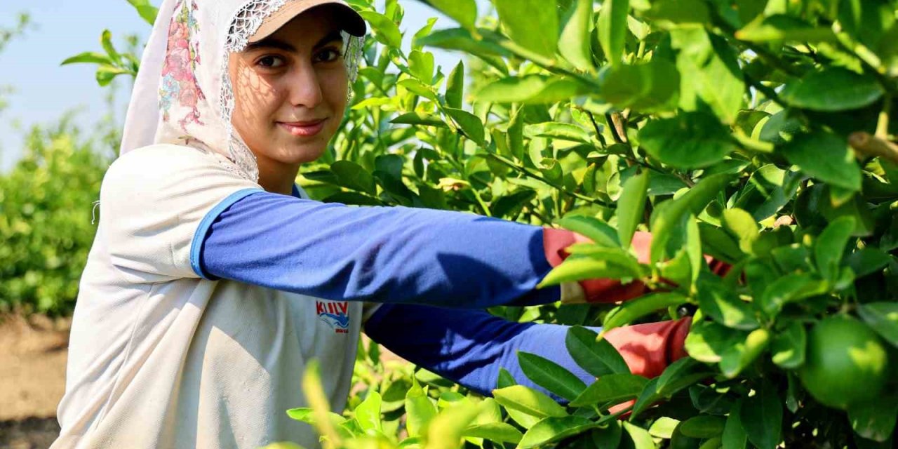 Çukurova’da tarım işçisi yevmiyeleri bin 613 lira oldu
