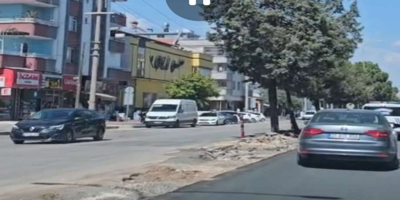 Gaziantep’te ağaç kesimine sert tepki: Şehir beton yığını oldu