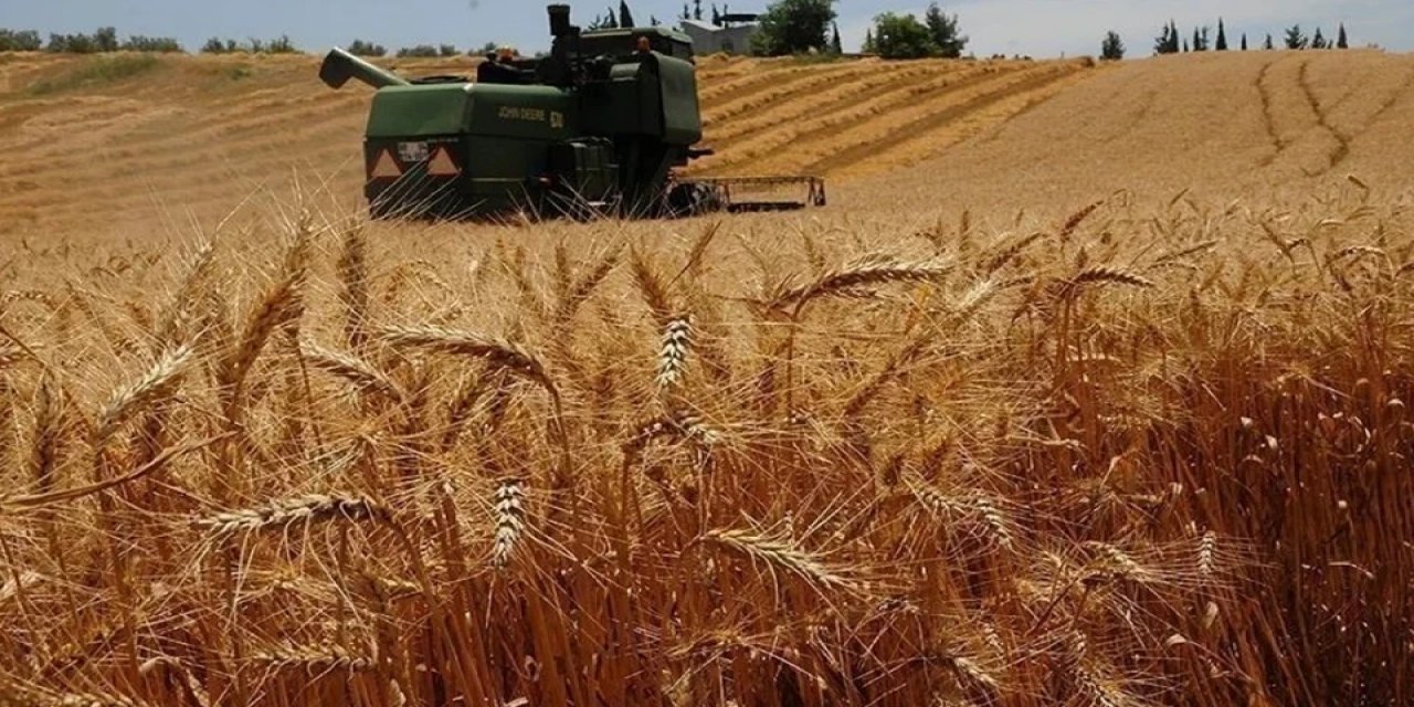 Çiftçiye don desteği! 16 ürün daha TARSİM güvencesine alınıyor