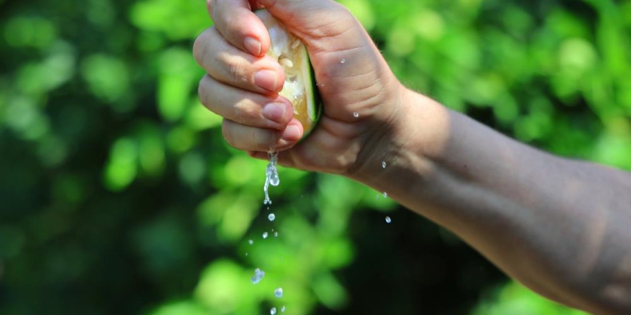 Adana'da limon ve mandalina dalında kaldı, ihracat krizi üreticiyi vurdu