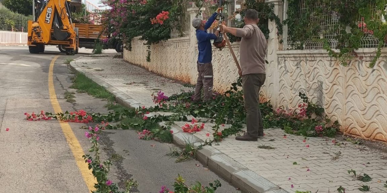 Toroslar'da ağaç budama ve bakım çalışmaları sürüyor