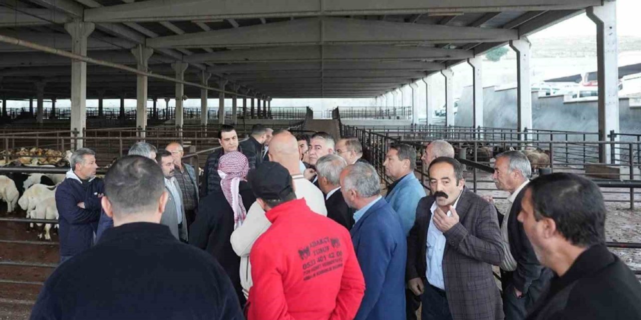 Şehitkamil Yılmaz’dan et müjdesi