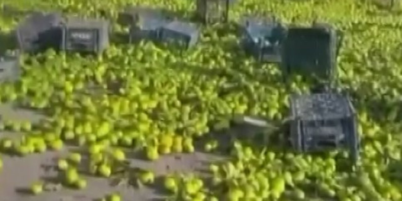 TAG otoyolda mandalina yüklü kamyon devrildi