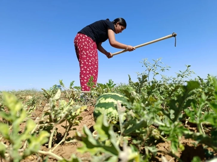 Tunceli'de köyün hanımağası tıp öğrencisi oldu