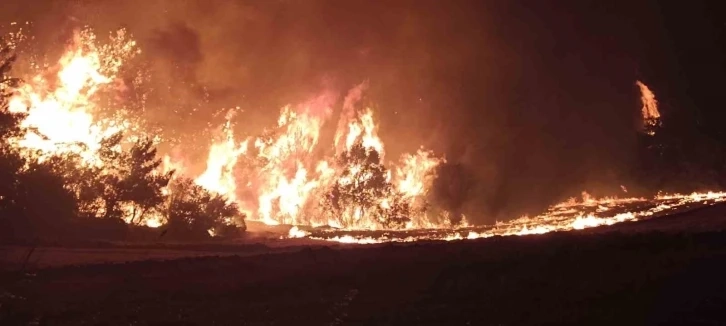 Çanakkale’deki orman yangınını söndürme çalışmaları aralıksız devam ediyor