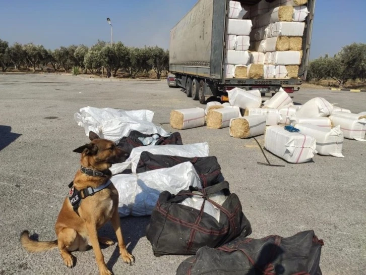 Osmaniye'de Samanların içine saklanmış 172 kilo 200 gram skunk ele geçirildi