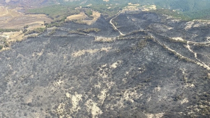 Çanakkale’de acı tablo havadan böyle görüntülendi